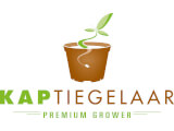 logo website groot hfw 2025 24