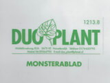 logo website standaard hfw 2025 25