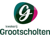 gebr grootscholten handelskwekerij