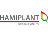 hamiplant