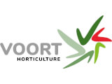 voort horticulture