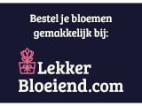 Standaard100