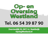 Standaard113